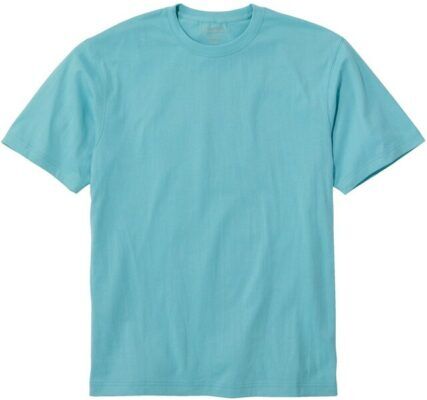 L.L. Bean Carefree Unshrinkable Tee