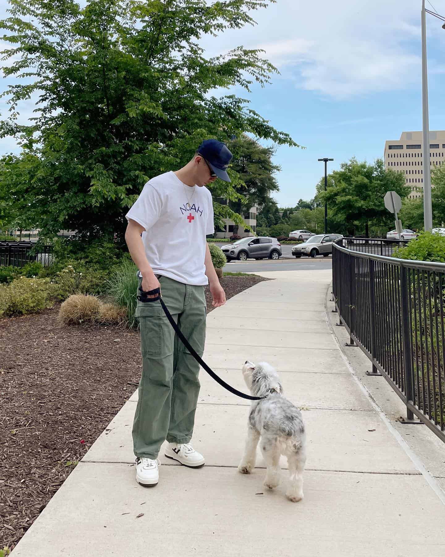 a man walking his dog with a leash