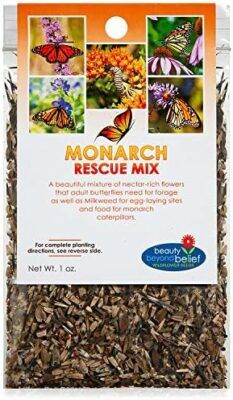 Monarch Butterfly Rescue Wildflower Seed Packet