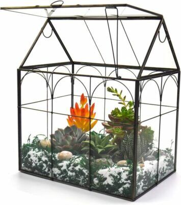 Yimorence Terrarium Glass with Lid