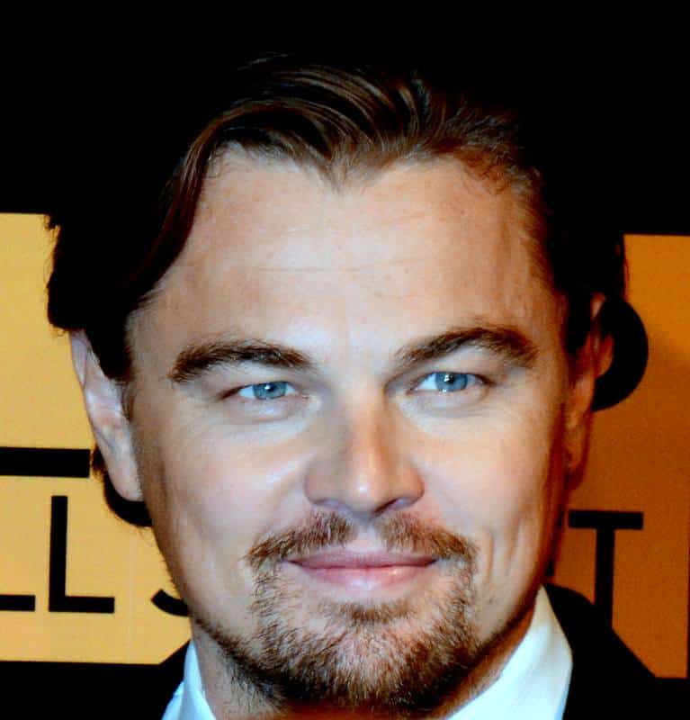 Leonardo DiCaprio with Goatee Beardstyle