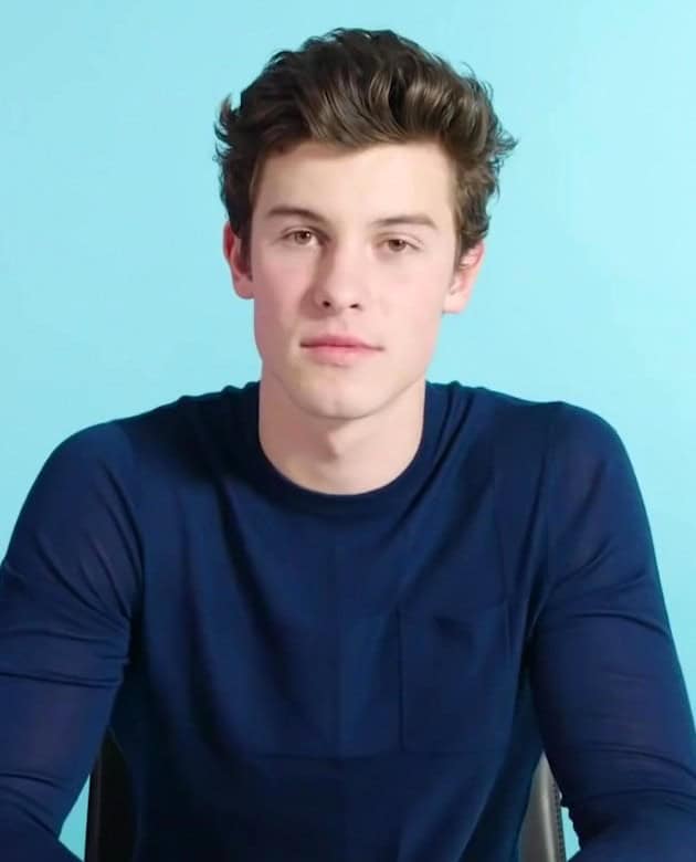 singer Shawn Mendes