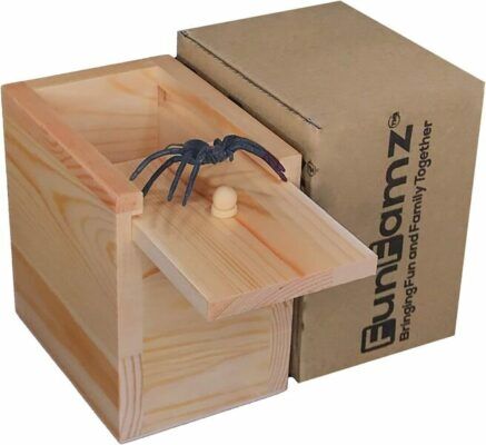 FunFamz The Original Spider Prank Box