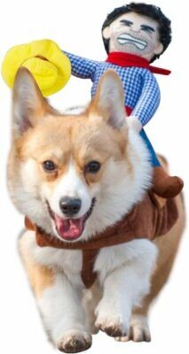 NACOCO Cowboy Rider Dog Costume for Dogs